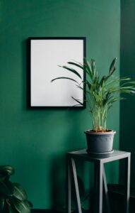 Groene muur met poster en plant