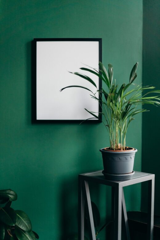 Groene muur met poster en plant