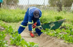 werken in de tuin