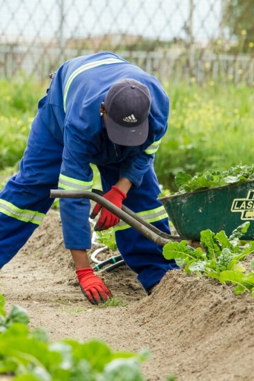 werken in de tuin