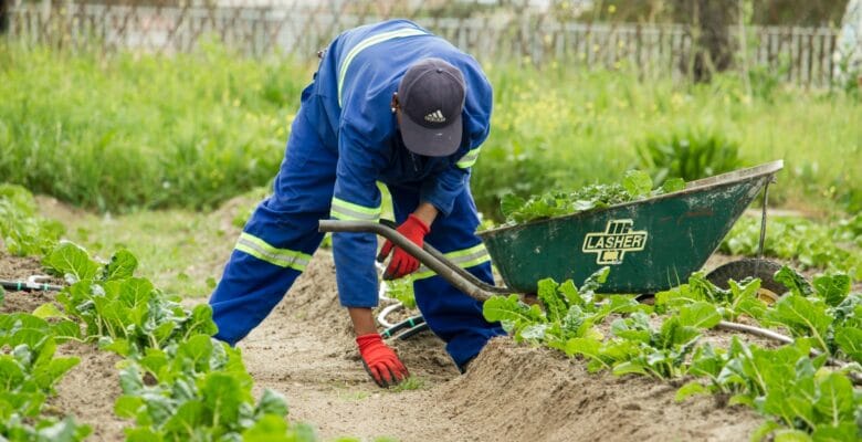 werken in de tuin